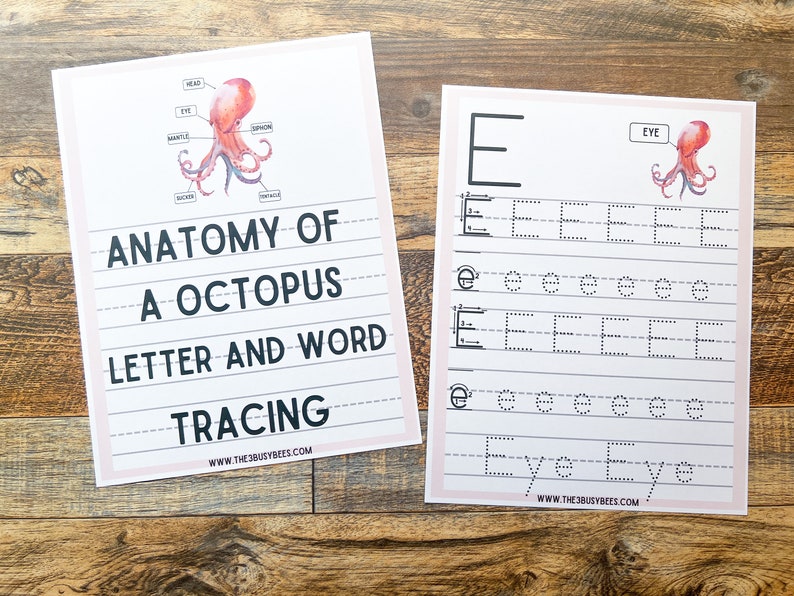 Anatomy of a Octopus Letter and Word Tracing - Etsy