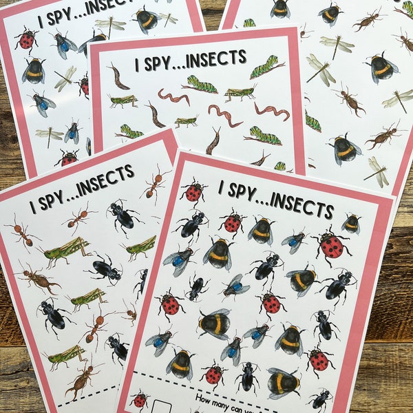 Insect I spy Printable   • Insect Learning  •  Mini Beasts Printable  • Busy Binder Activity