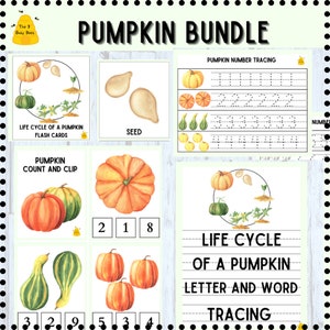 Pumpkin Bundle / Fall Halloween Learning