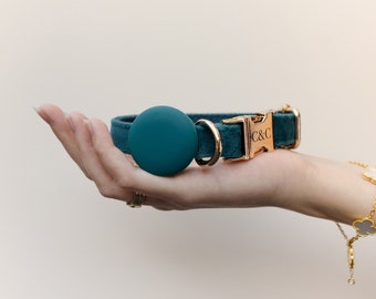 May include: A teal velvet dog collar with a gold buckle and a round teal charm with the letters "C&C" engraved on the buckle.