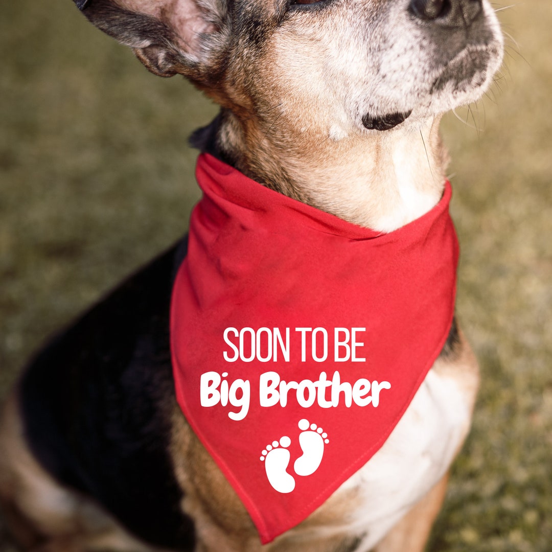 Soon to Be Big Brother Dog Bandana Pngbaby Announcement300 Etsy