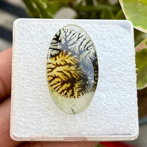 Cabujón de piedra preciosa suelta de doblete de cristal de dendrita natural, venta al por mayor, piedra preciosa de sabiduría, metafísica, regalo para el esposo.