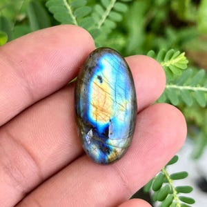 May include: An oval-shaped labradorite gemstone with a polished surface. The stone displays a vibrant play of color, with iridescent blues, yellows, and hints of green. The gemstone is held in a hand, with green foliage in the background.