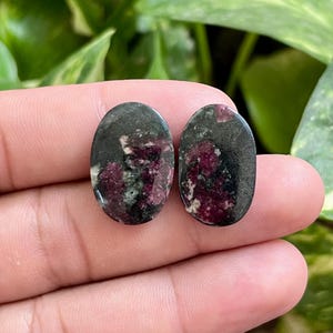 Puede incluir: Dos piedras preciosas ovaladas con una base gris oscuro e inclusiones rojas y rosas vibrantes. Las piedras están pulidas y lisas, con un aspecto natural. Las piedras preciosas están sobre un fondo verde borroso.