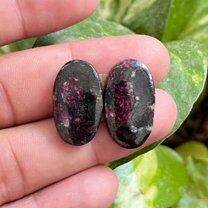 May include: Two oval gemstones with a dark, speckled appearance. The stones have a black base colour with vibrant, deep red inclusions. The gemstones are held in a hand, with green foliage in the background.