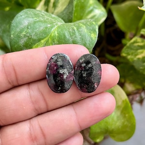 Könnte beinhalten: Zwei ovale Edelsteine mit einer Mischung aus Schwarz, Grau und tiefroten Farbtönen. Die Steine haben eine polierte, glänzende Oberfläche, und die roten Einschlüsse erzeugen ein gesprenkeltes Aussehen. Die Edelsteine werden vor einem Hintergrund aus grünem Laubwerk präsentiert.