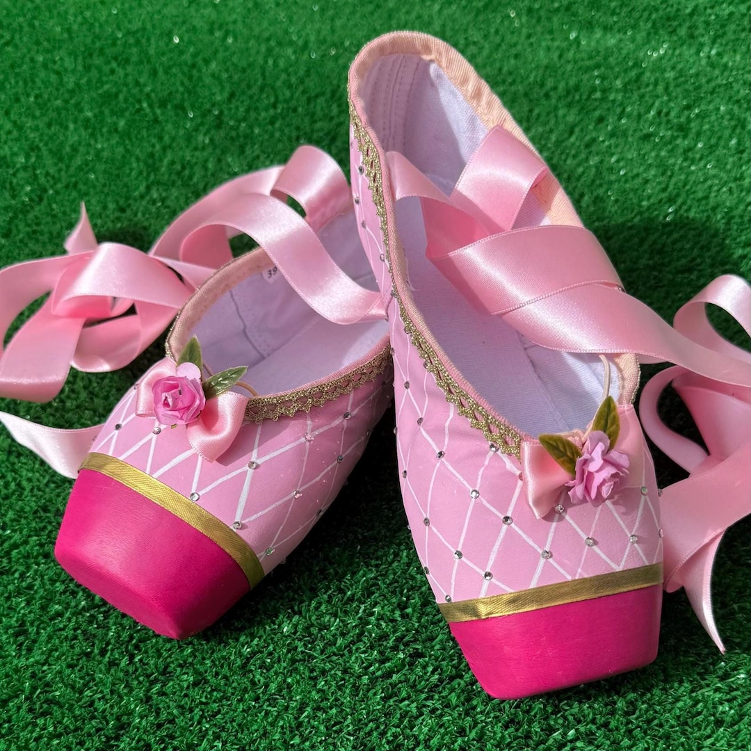 Barbie and the 12 Ballerina Princesses Ballet Shoes - Etsy