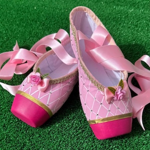 Barbie and the 12 ballerina princesses ballet shoes