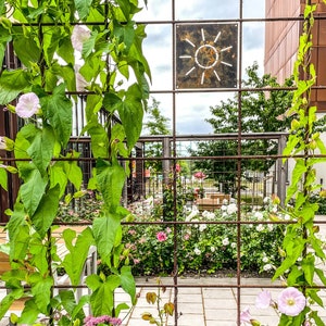 Pu&ograve; includere: Un traliccio di metallo con una vite che cresce su di esso. La vite ha fiori rosa e foglie verdi. Dietro il traliccio c'&egrave; un patio con fiori bianchi e una scultura di sole in metallo.