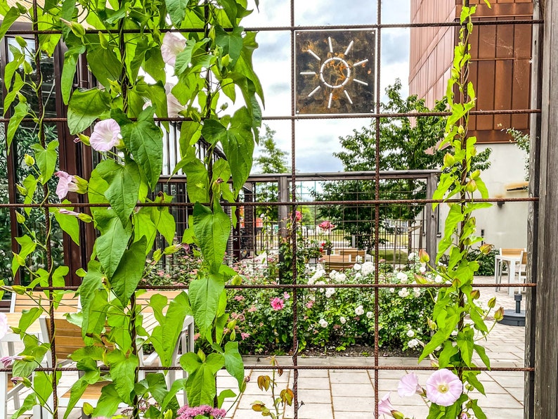 Pu&ograve; includere: Un traliccio di metallo con una vite che cresce su di esso. La vite ha fiori rosa e foglie verdi. Dietro il traliccio c'&egrave; un patio con fiori bianchi e una scultura di sole in metallo.