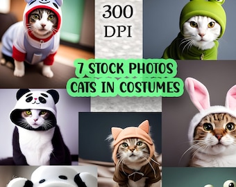 Cats in Costumes Clipart: Funny Animal Stock Images (Commercial Use) (Digital Files)