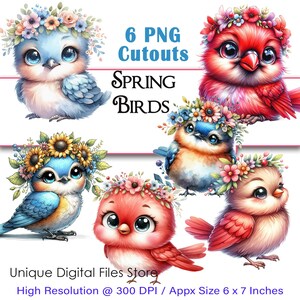 Cardinal & Bluebird, Spring Birds PNG, Clipart de aquarela, Uso comercial, POD ok, Recorte cuidadoso, Pássaros bebês fofos, Download digital