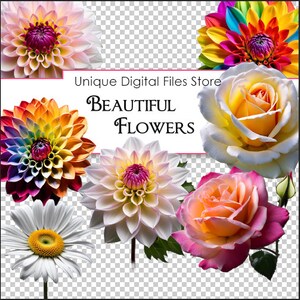 Lindas flores 12 imagens PNG, Clipart, Uso comercial, POD ok, KDP ok, Recorte cuidadoso, Dália, Rosa, Margarida, Arquivos digitais, Alta resolução