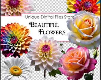 Flower Clipart: Dahlia, Rose & Daisy PNG Images (Digital Files)