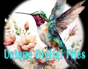Watercolor Hummingbird PNG: Floral Clipart (Commercial Use)