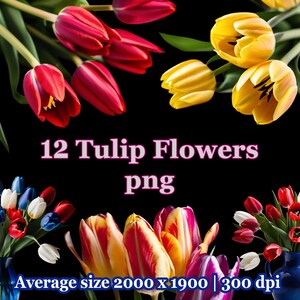 Flores de tulipán, 12 imágenes PNG, uso comercial, POD, imágenes de primavera, recortadas con cuidado, fondo transparente, feliz, archivos digitales, alta resolución