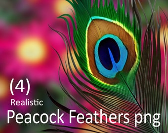 Realistic Peacock Feathers PNG Clipart: Mardi Gras Art Files (Digital Download)