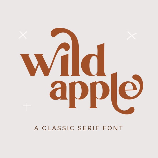 Wild Apple Serif-lettertype - Retro-lettertype - Groovy-lettertype - Modern lettertype - Cricut-lettertypen - Procreate-lettertypen - Logo-lettertype - Handgeschreven lettertype - Sierletter