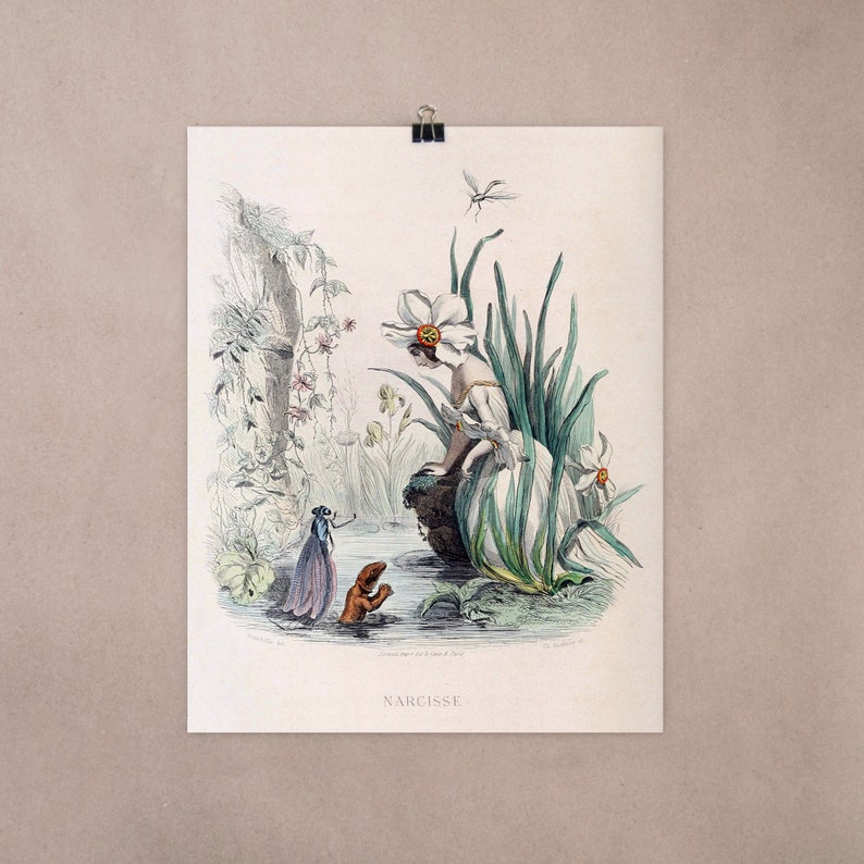 The Narcissus by JJ Grandville Vintage Color Metal Engraving Etsy