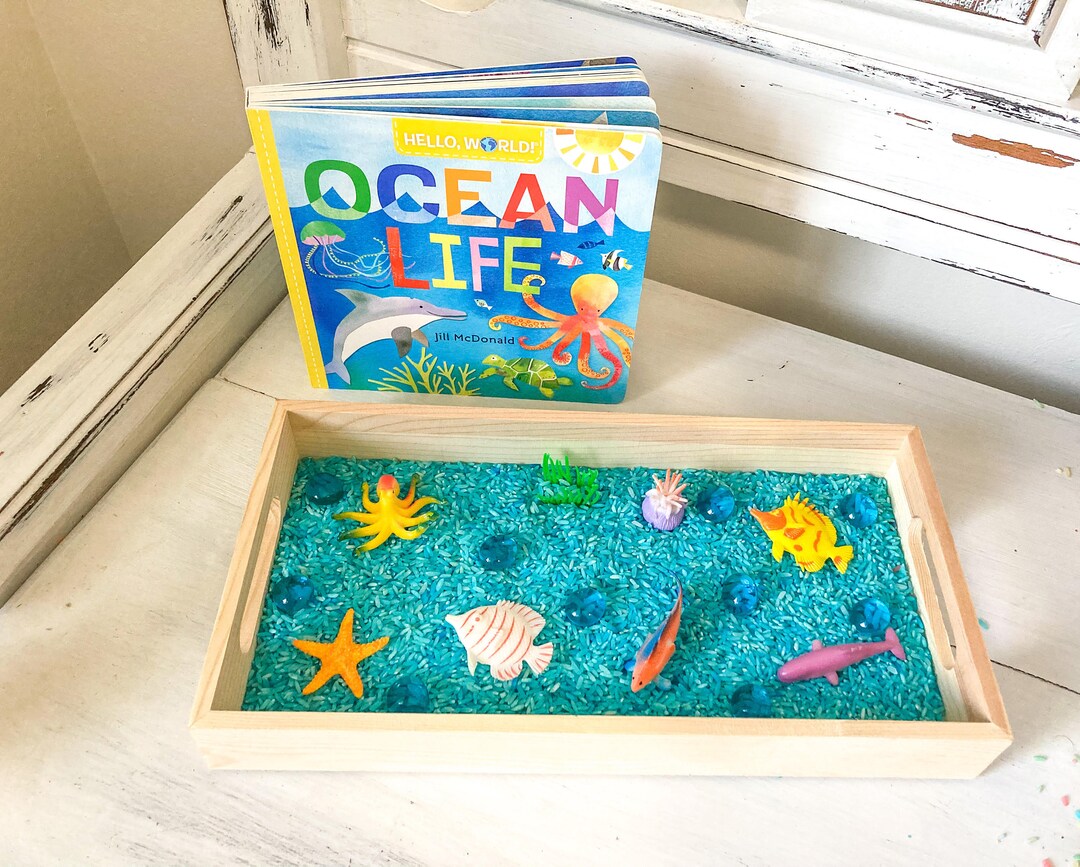 Ocean Sensory Box Ocean Book Sea Sensory Box Sea Animal Book Etsy