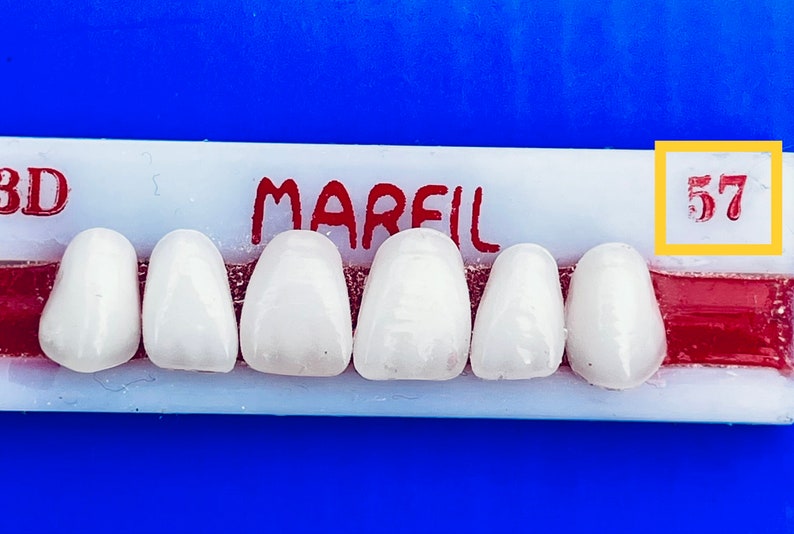 Flipper Nesbit Custom Fitted Missing Teeth Space Filler Cosmetic