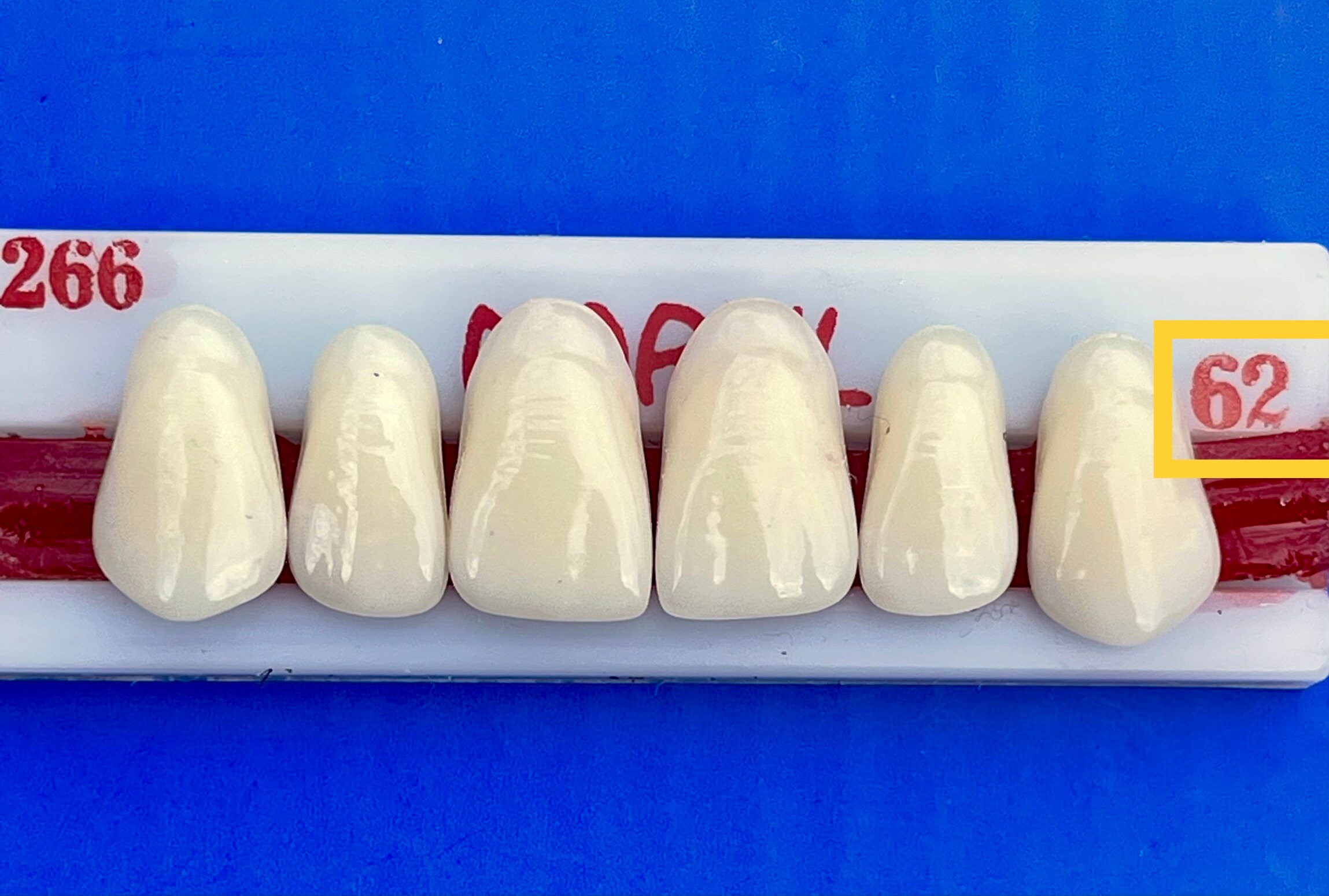 Flipper Nesbit Custom Fitted Missing Teeth Space Filler Cosmetic