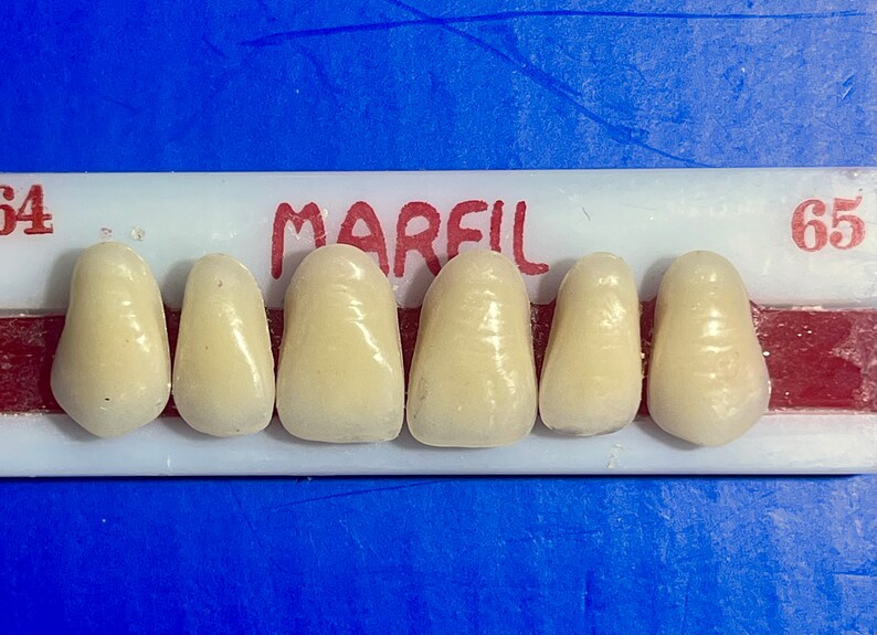 Flipper Nesbit Custom Fitted Missing Teeth Space Filler Cosmetic