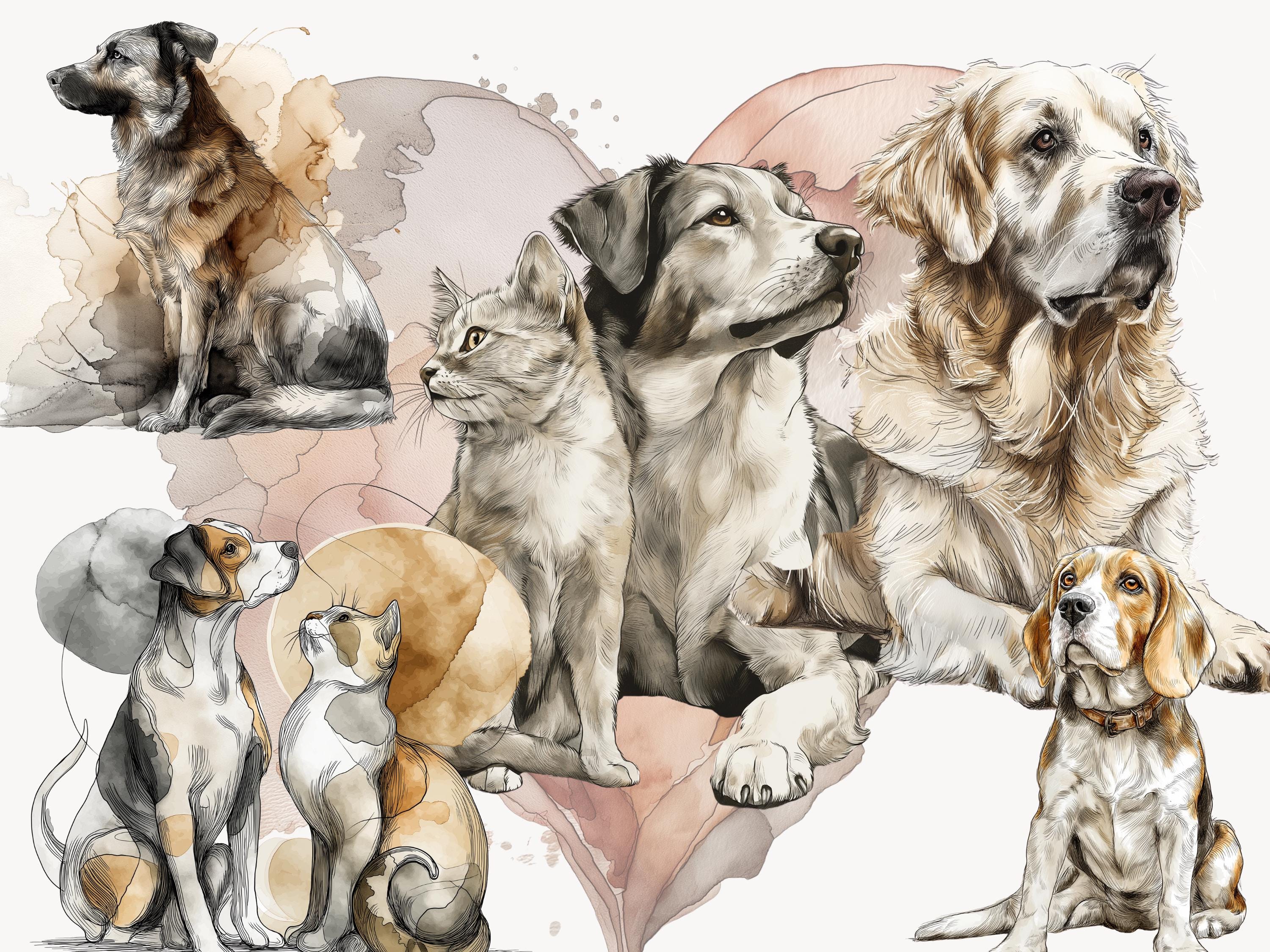 Pet Memorial Clipart Bundle, Dog Cat Breeds, Rainbow Bridge Graphics ...