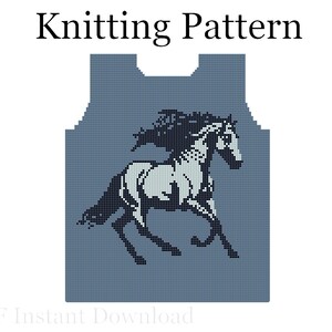 Peut inclure: Un modèle de tricot avec un cheval courant noir et blanc sur fond bleu. Le texte "Knitting Pattern" est en haut. Le numéro "04" est en bas à droite.
