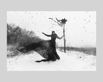 Narrative Photo Print - Black star