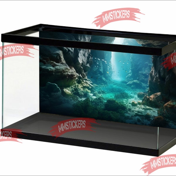 Aquarium Background Sunshine Underwater World Fish Tank Background water Underwater Rocky Cave Light Shine Ocean Sea Underwater