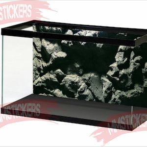 stony Aquarium Background Sunshine Underwater World Fish Tank Background water World STIKERS