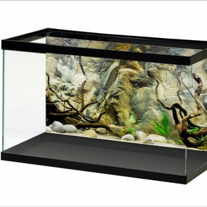 Aquarium Hintergrund Sunshine Unterwasserwelt Aquarium Hintergrund STIKERS