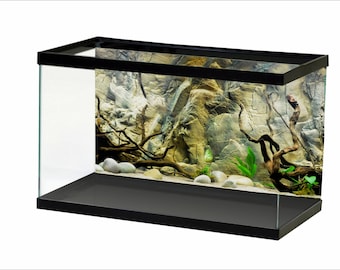 aquarium background price