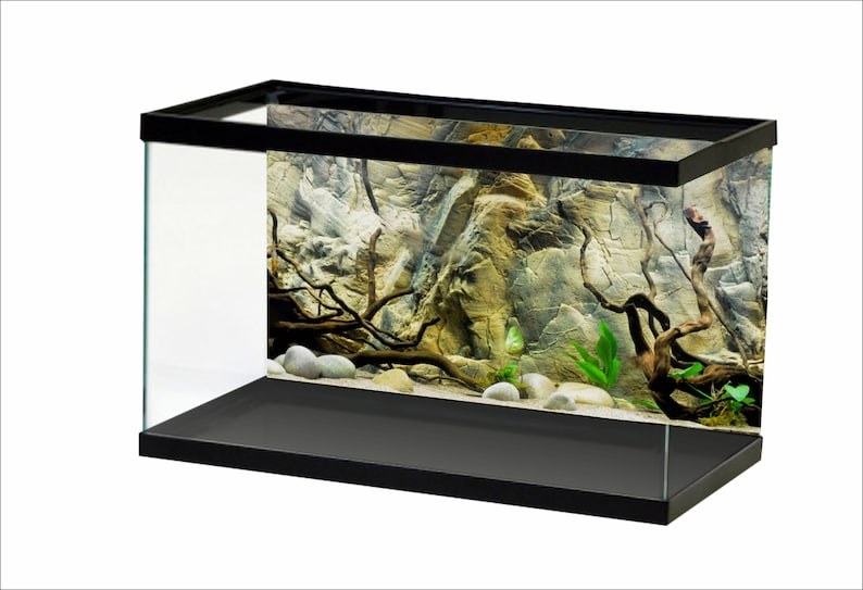 Aquarium Background Sunshine Underwater World Fish Tank Background STIKERS Etsy