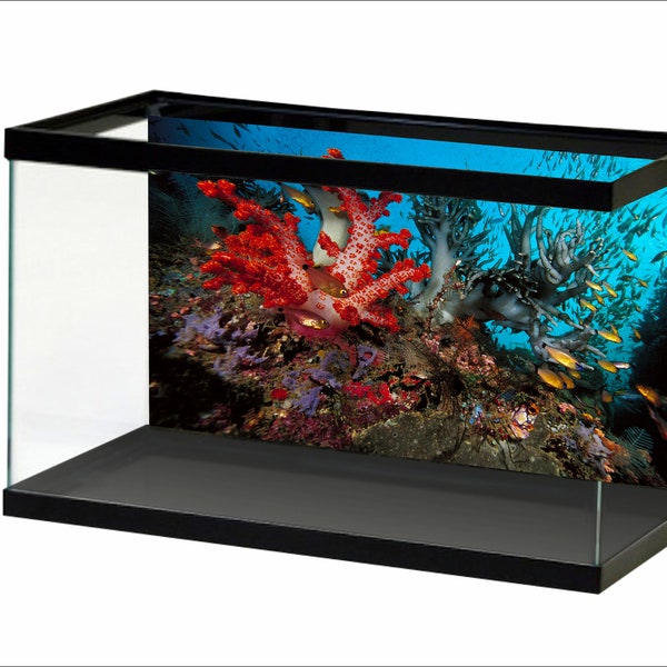 Aquarium Background Cling Etsy
