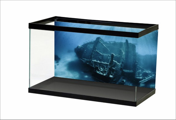 Aquarium Background Sunshine Underwater World Fish Tank Background Sunken Ship STIKERS Etsy Canada