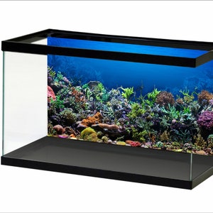 Aquarium Hintergrund Sunshine Unterwasserwelt Aquarium Hintergrund STIKERS