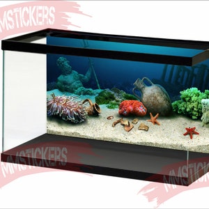 Poseidon Aquarium Hintergrund Sunshine Unterwasserwelt Aquarium Hintergrund Wasserwelt STIKERS