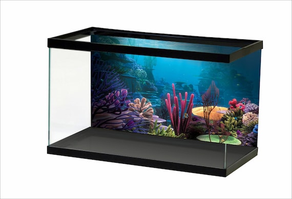 Aquarium Background Sunshine Underwater World Fish Tank Background