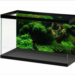 Aquarium Hintergrund Sonnenschein Unterwasserwelt Fish Tank Hintergrund Wasserwelt STIKERS
