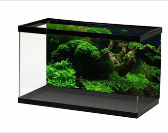 Aquarium Background Sunshine Underwater World Fish Tank Background water World STIKERS
