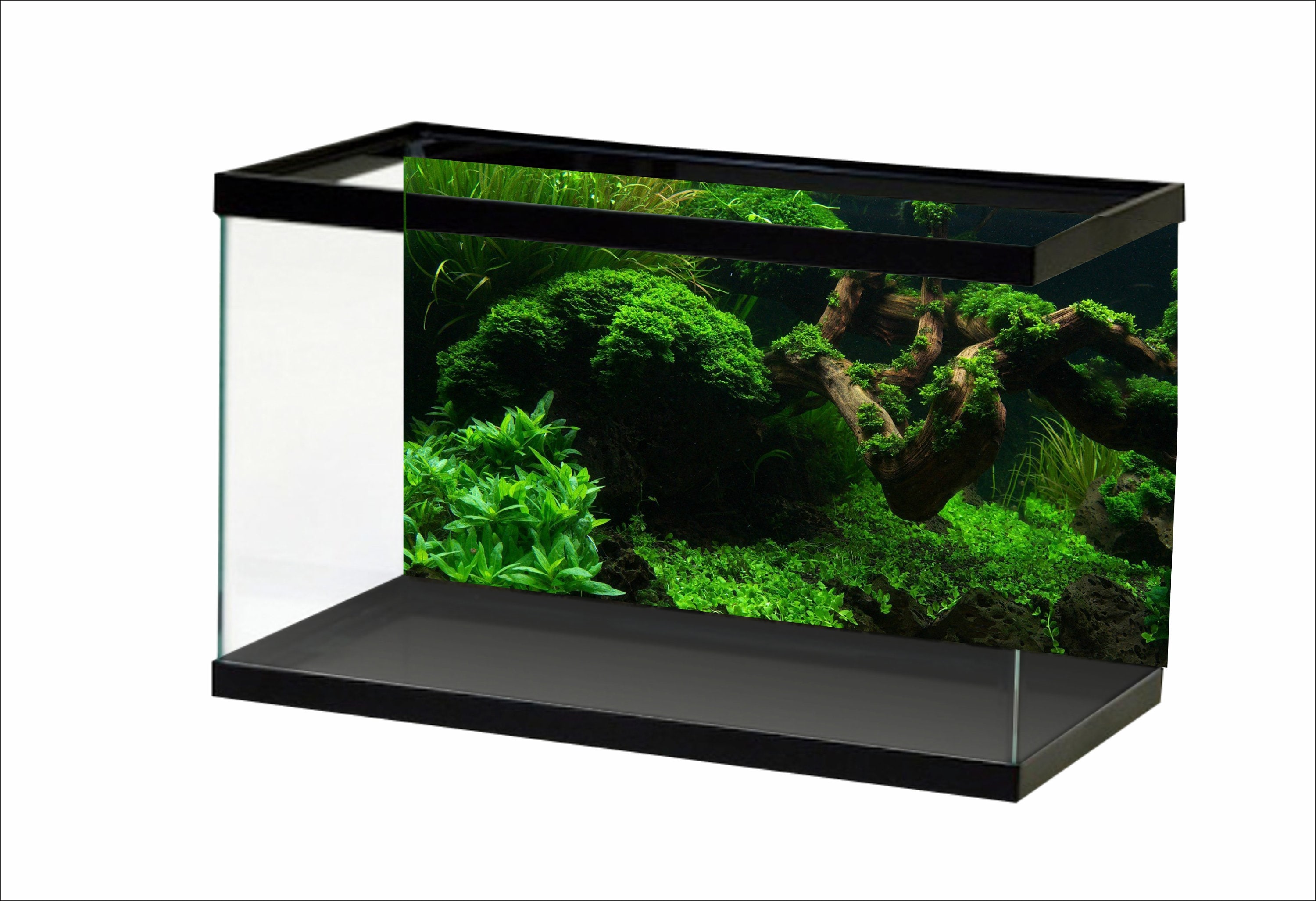 Aquarium Background Sunshine Underwater World Fish Tank Background