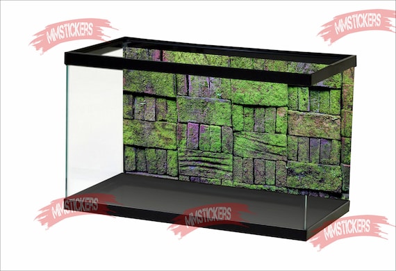 Covered With Thick Moss Green Aquarium Background Sunshine