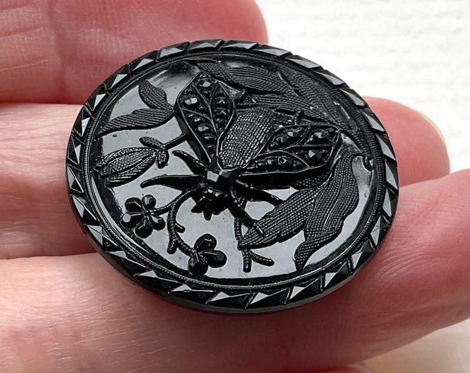 19 Th Century Insect Button. - Etsy UK