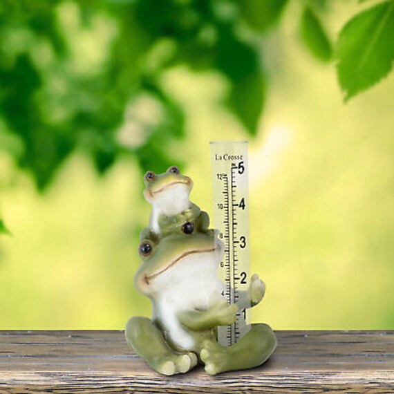 Frogs Rain Gauge Etsy