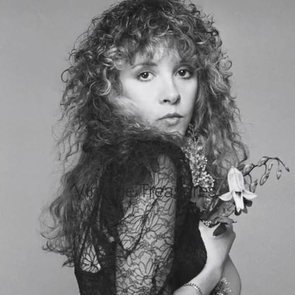 Stevie Nicks in Lace