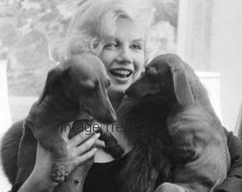 A Bundle of Joy - Marilyn Monroe tenant une paire de lions hollandaises