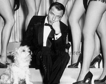 Frank Sinatra in Style