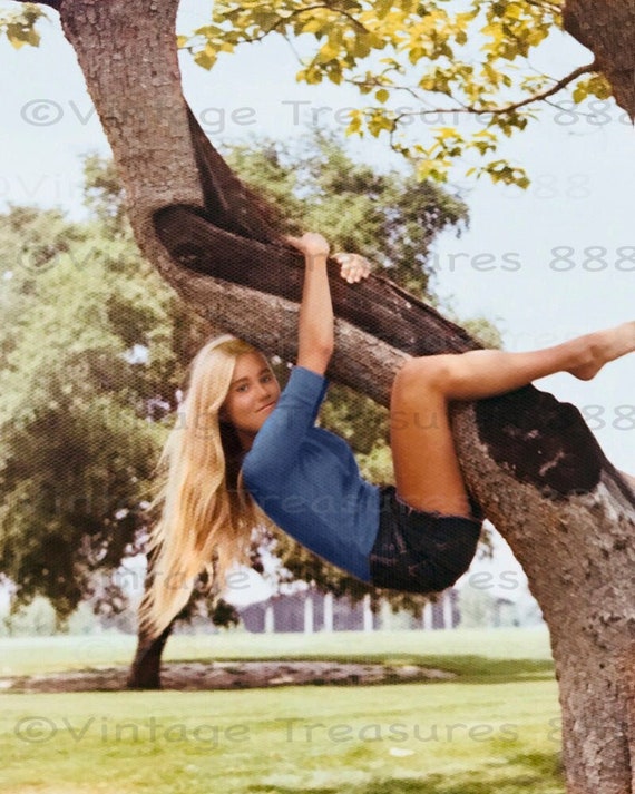 Marcia Brady From the Brady Bunch - Etsy
